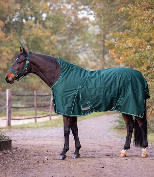 Výběhová deka se zvýšeným krkem Lightweight